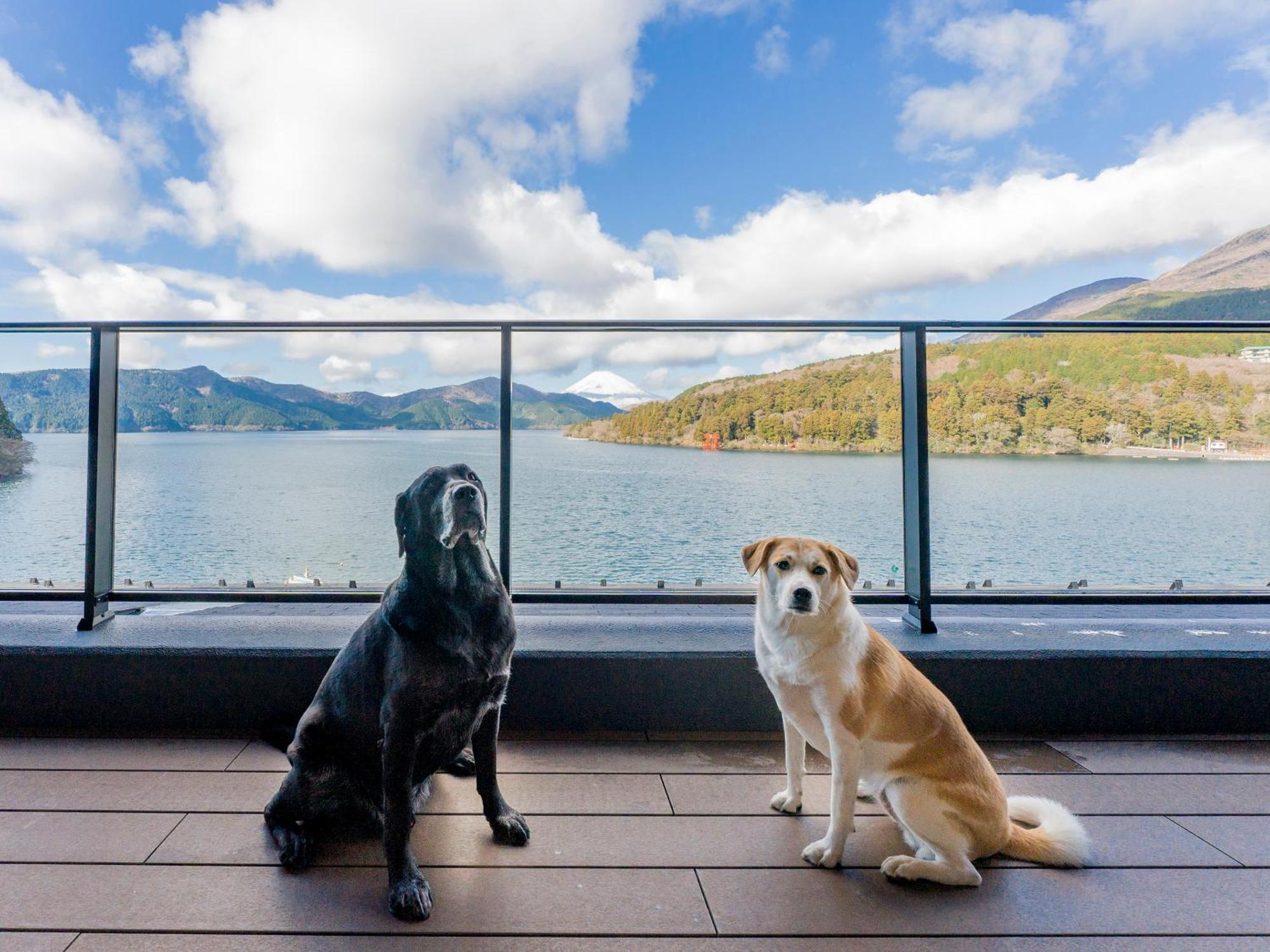 Rakuten Stay Fujimi Terrace Hakone Ashinoko Экстерьер фото
