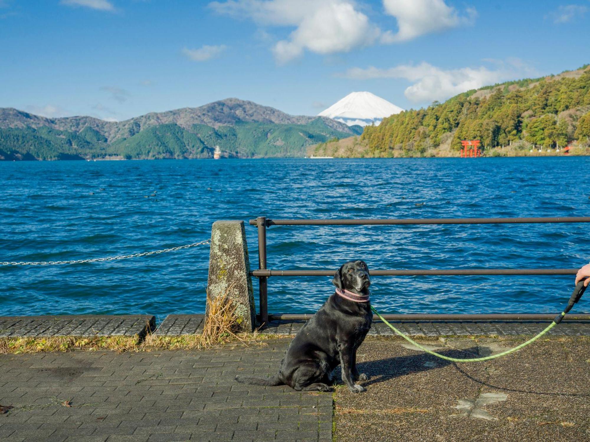 Rakuten Stay Fujimi Terrace Hakone Ashinoko Экстерьер фото